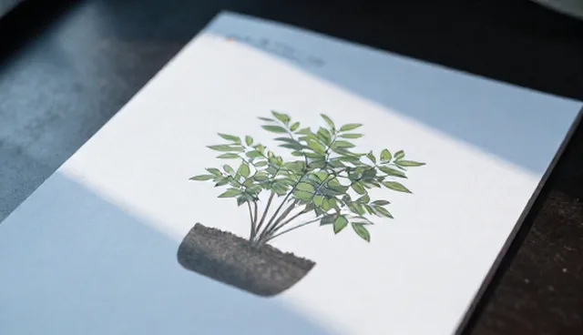 特色苗木增产难题，如何选型提升效益