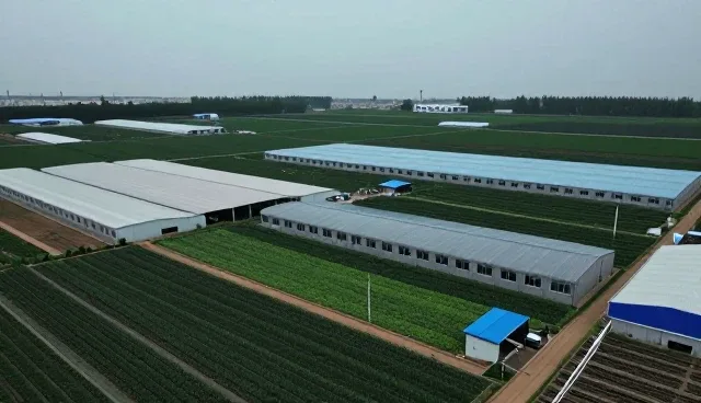有机农产品在家庭厨房中的应用与维护建议