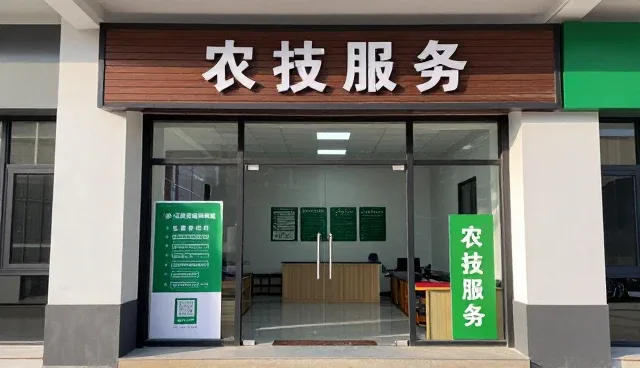 生长周期管理如何重塑农业保鲜技术的应用逻辑