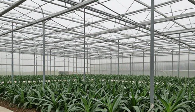有机农产品标准化种植管理的使用与维护关键